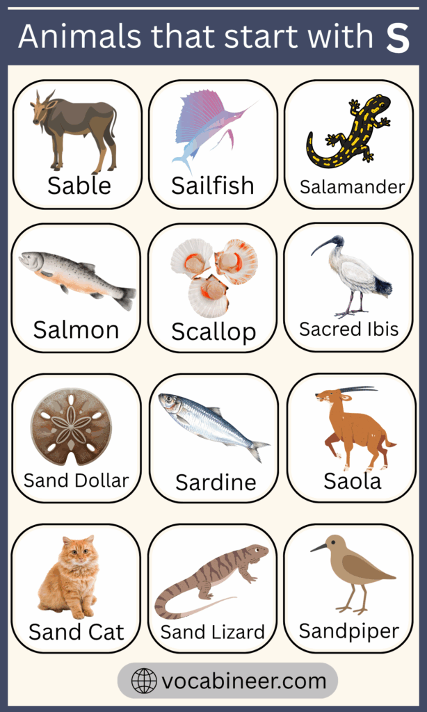 40 Common Animals That Begin with S in English