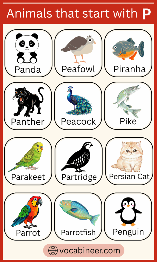 244 Animals Starting with P in English
