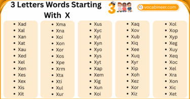 3 Letter Words Starting with X in English