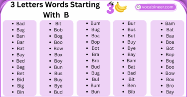 3 Letter Words That Start with B