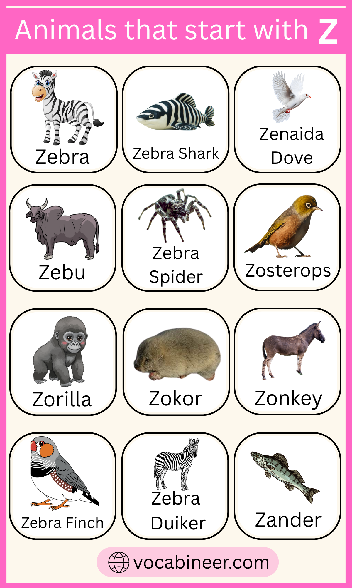 35 Unique Animals That Start with Letter Z, image size:1200x2000