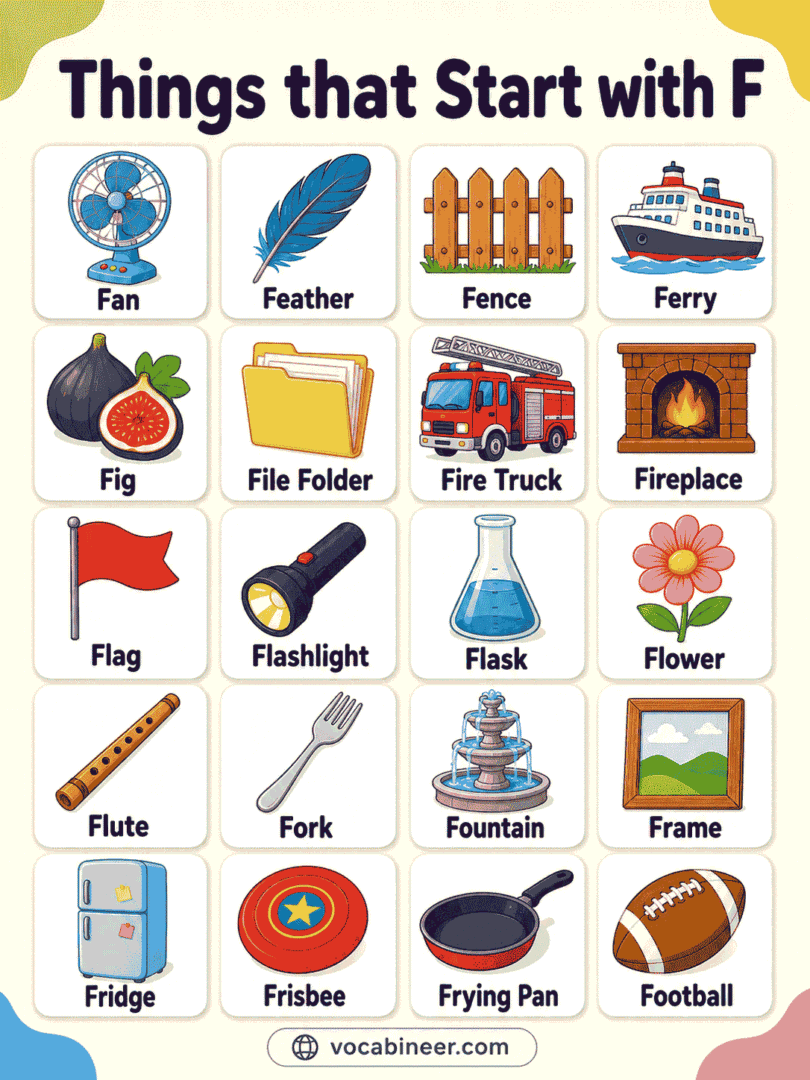 Things From F List of 222 Things That Start with F in English
