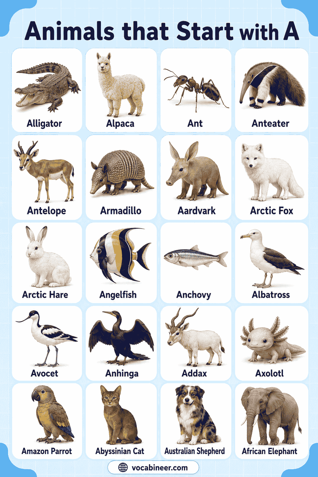 List of Animals That Start with A in English