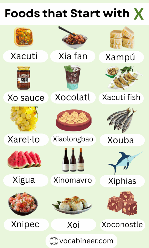 List of Unique Foods That Start with X in English
