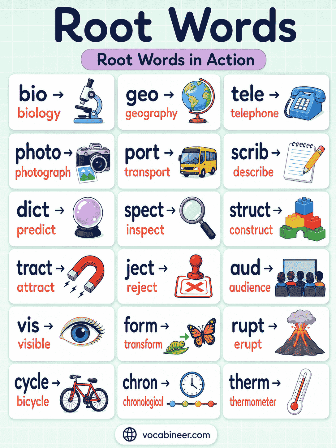 Root Words for Kids: Definition, Examples, and Exercises