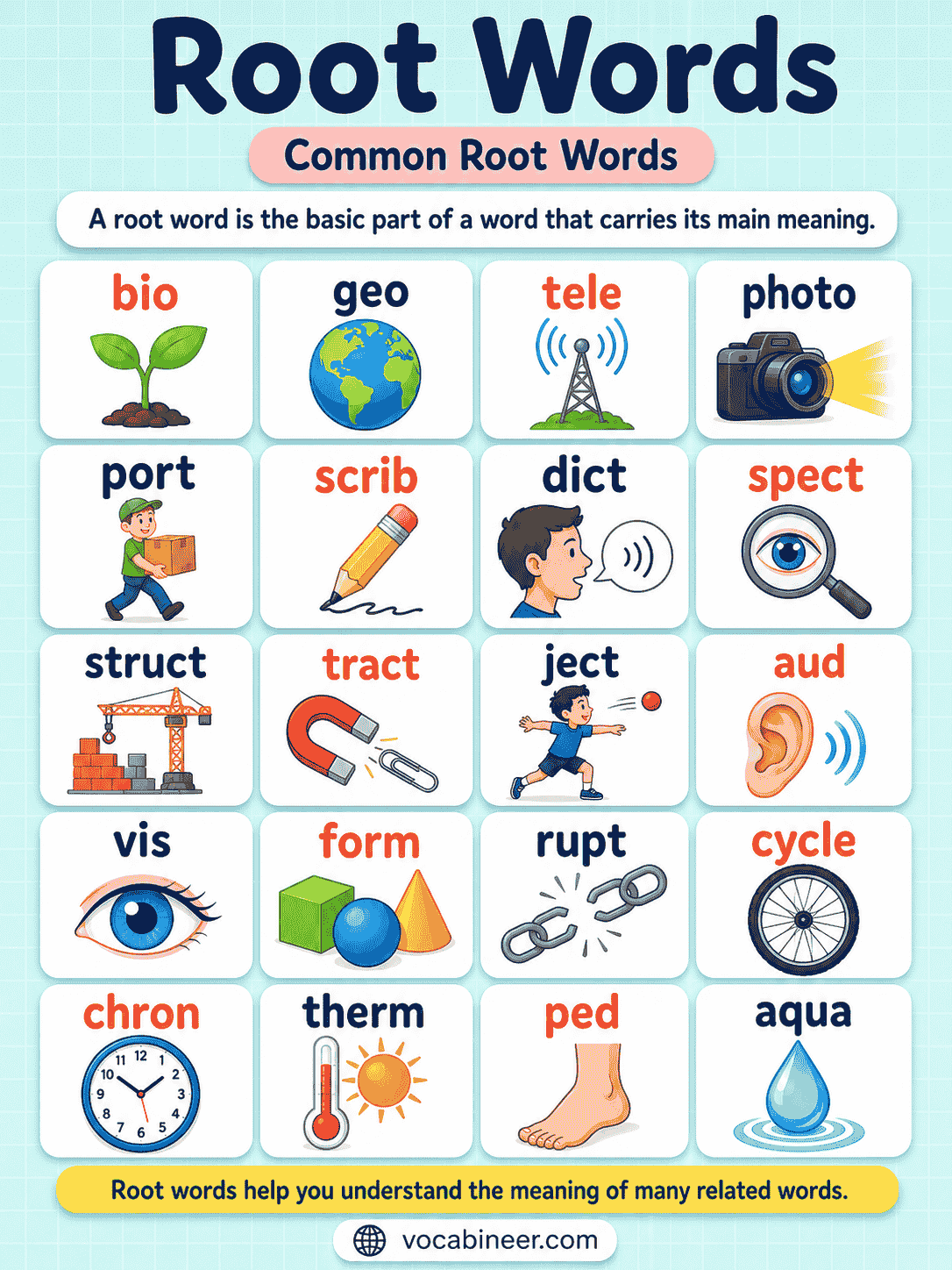 Root Words in English With Meanings and Examples