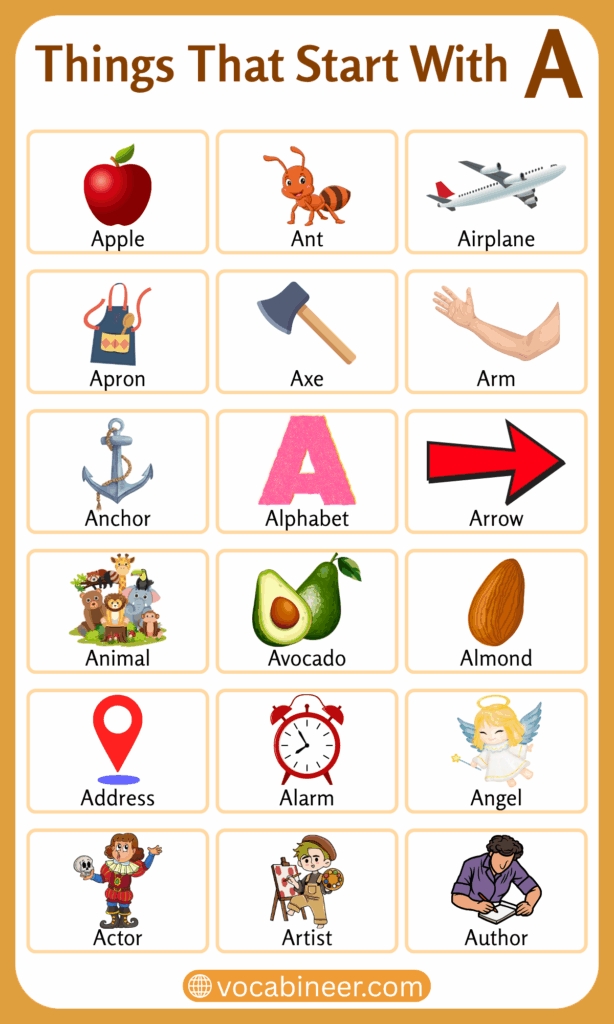 Things That Start with Letter A: List of 300+ Words with Pictures