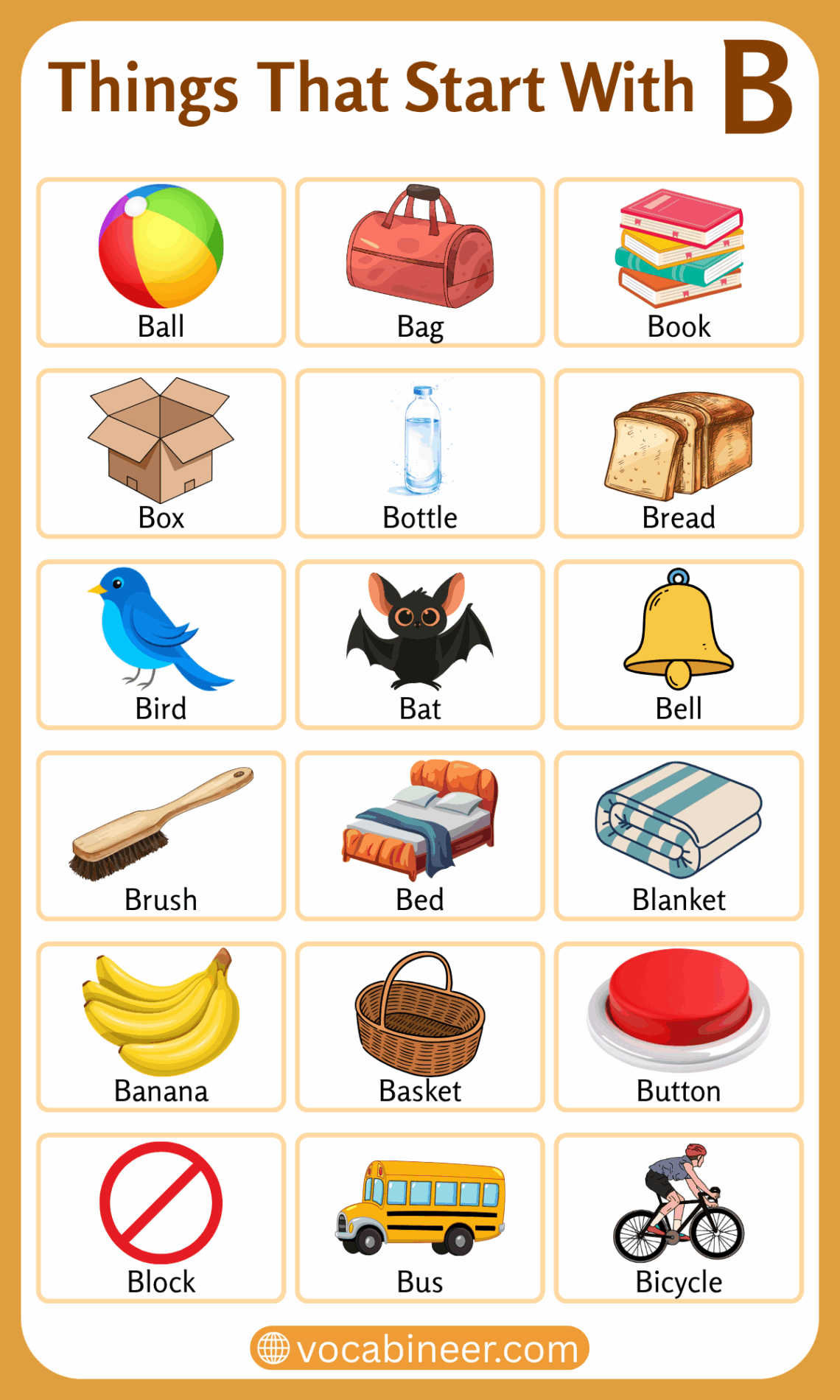 250 Things Starting with B Letter in English