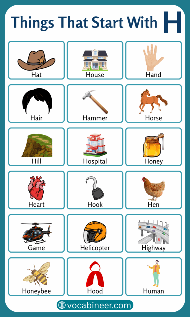 233 Things That Start with H in English with Pictures