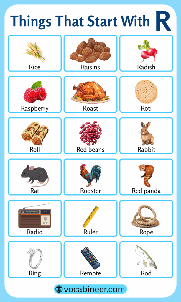 Things That Start with R | 166 R Things Name in English