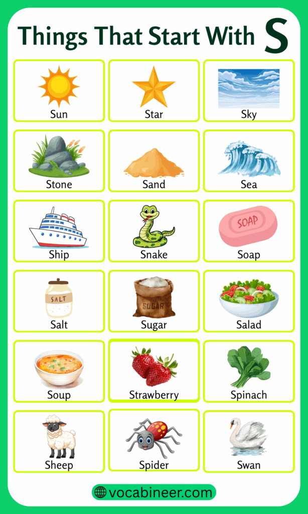 Things That Start with S | List of 177 S Things Name in English