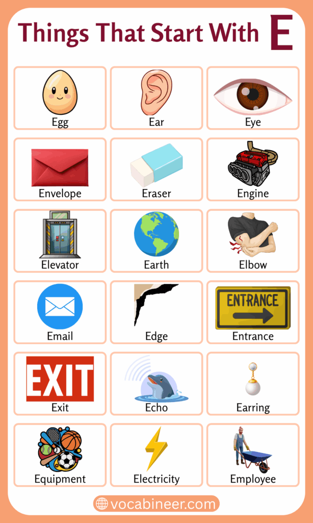 Common Things That Start with E | 220 Useful English Words