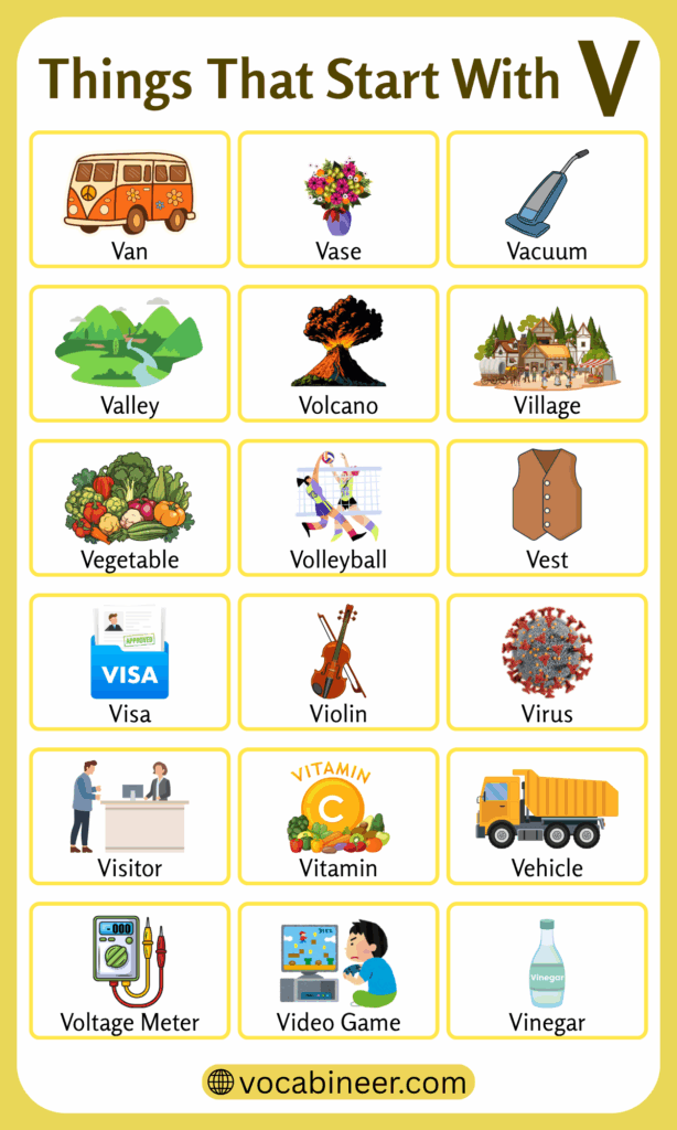 Things That Start with V | 122 Words with Letter V in English