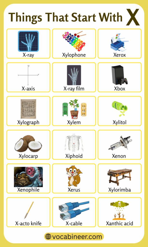 Things That Start with X | List of 111 X Words in English