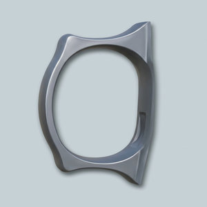 Trigger Guard