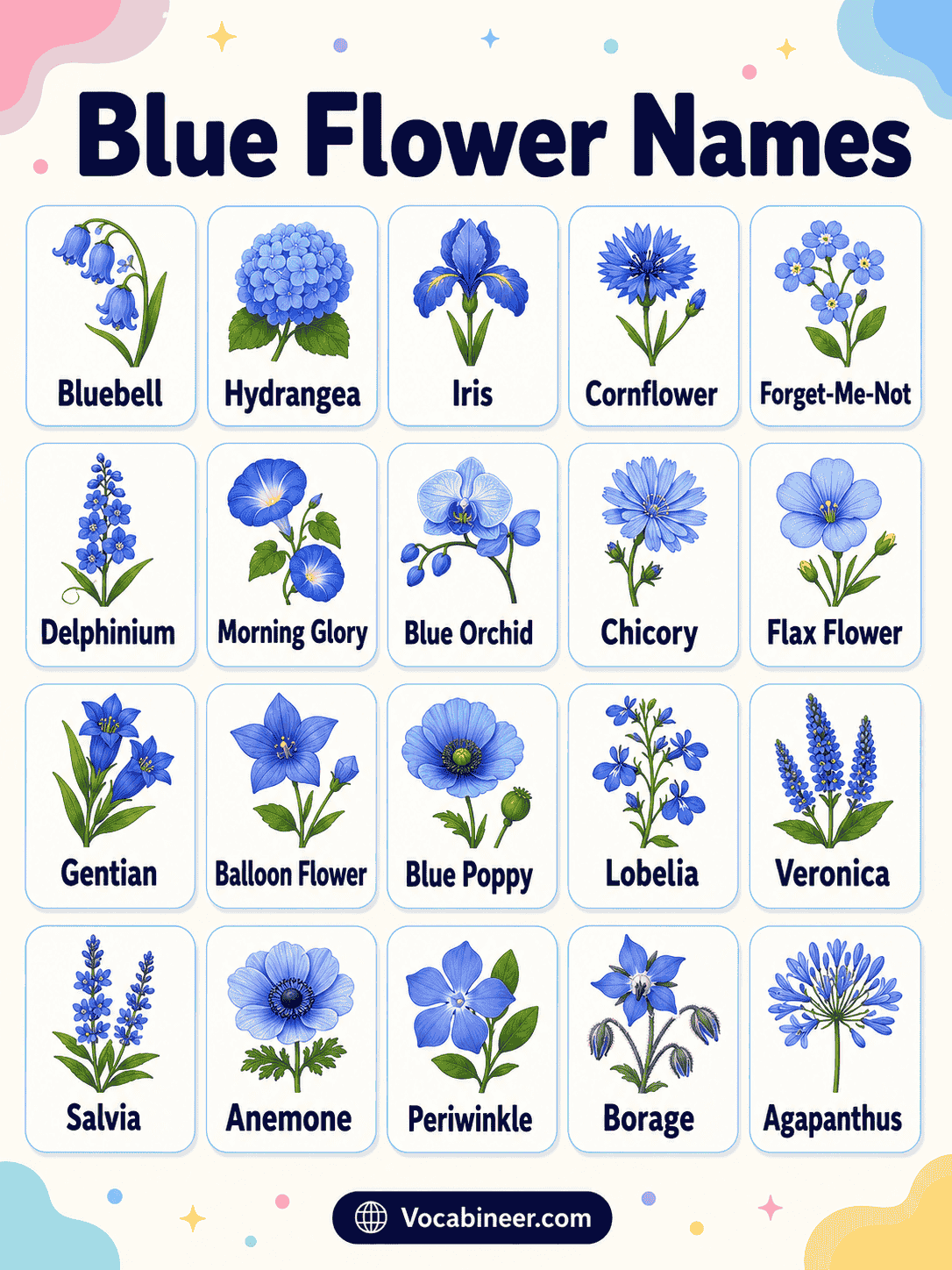 Types of blue flowers with names and pictures, including bluebell, forget-me-not, blue hydrangea, cornflower, delphinium, lobelia, and blue orchid.