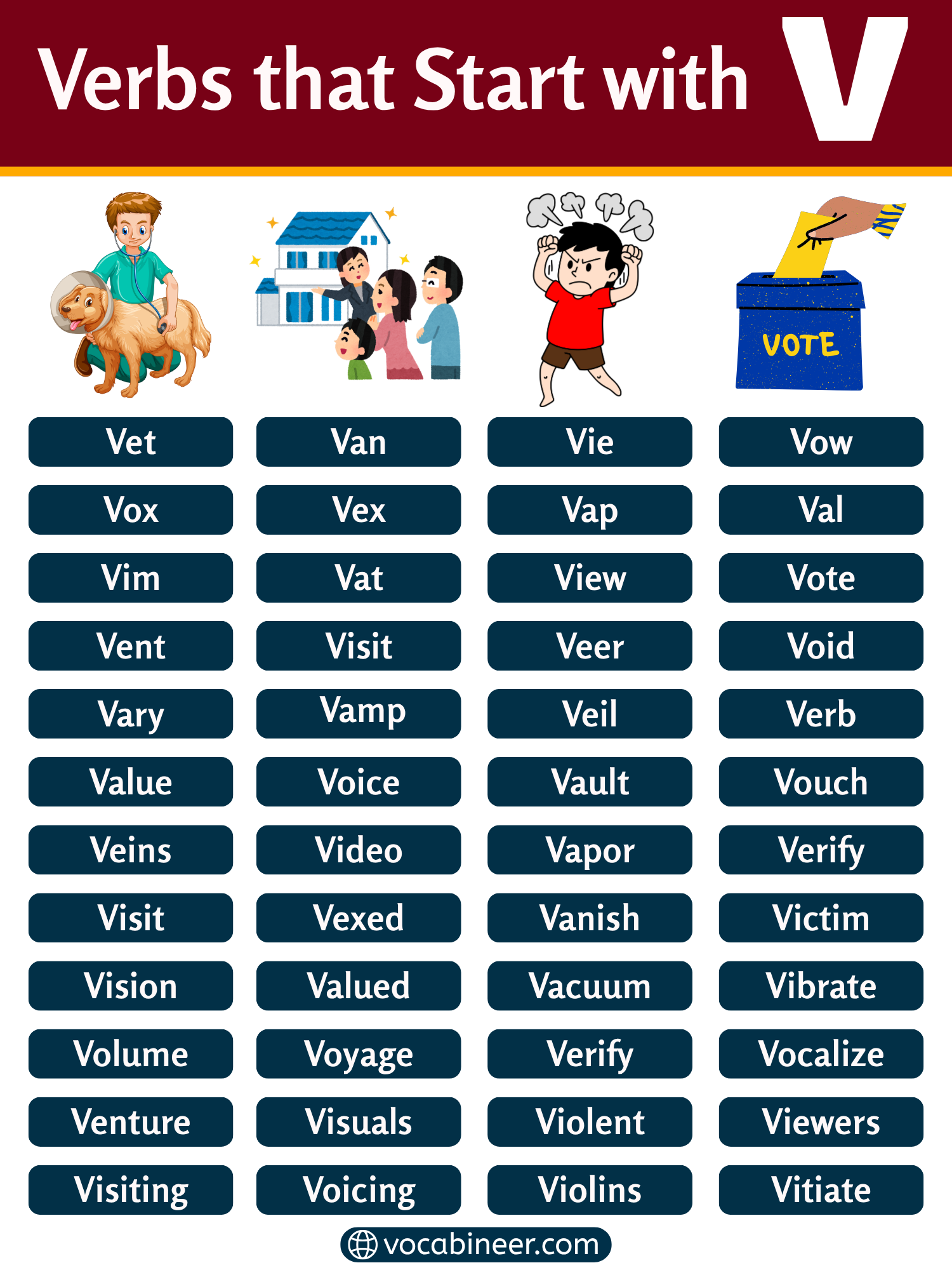 Verbs that start with V in a full list with meanings and examples