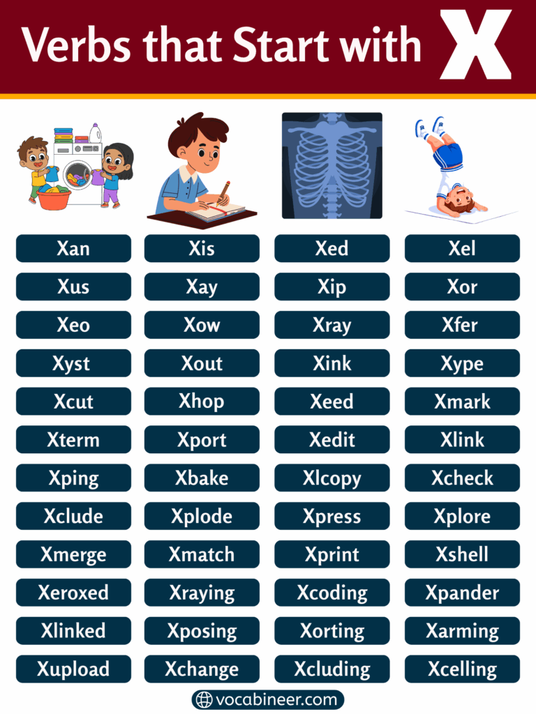 Verbs that start with X in a full list with meanings and examples