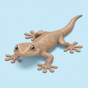 Xantus’s Leaf-toed Gecko