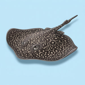 Xingu River Ray