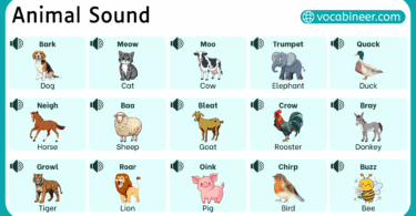 Animals and their Sounds in English