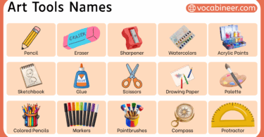 Art Tools and Drawing Material Names with their Pictures
