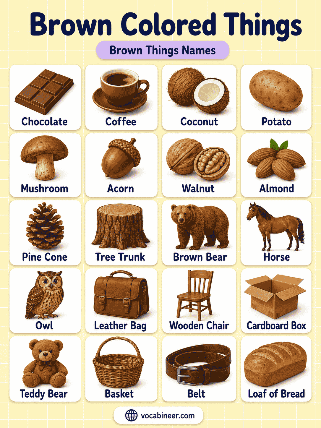 Brown Things Names with Pictures for Kids