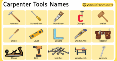 Carpenter Tools Names in English With Pictures