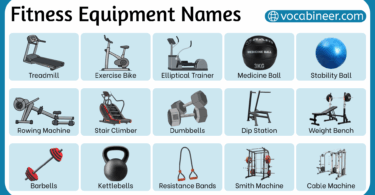Gym Equipment Names in English with Pictures