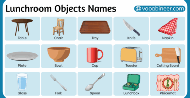 Lunchroom Objects Names in English with their Pictures