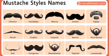 Mustache Styles Names with Types and their Pictures