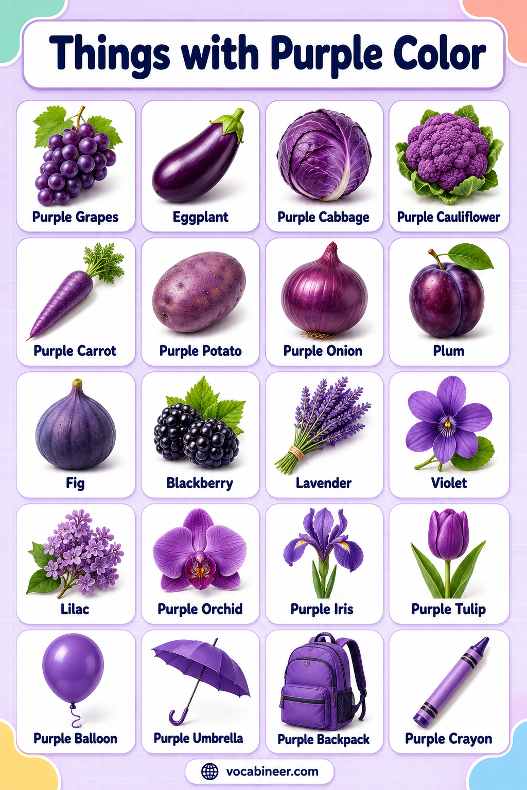 Purple Things Names with Pictures in English