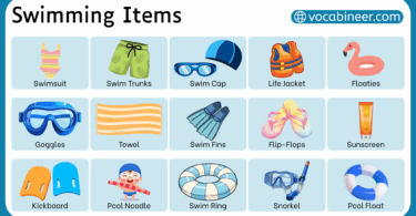 50+ Swimming Items Names with their Pictures