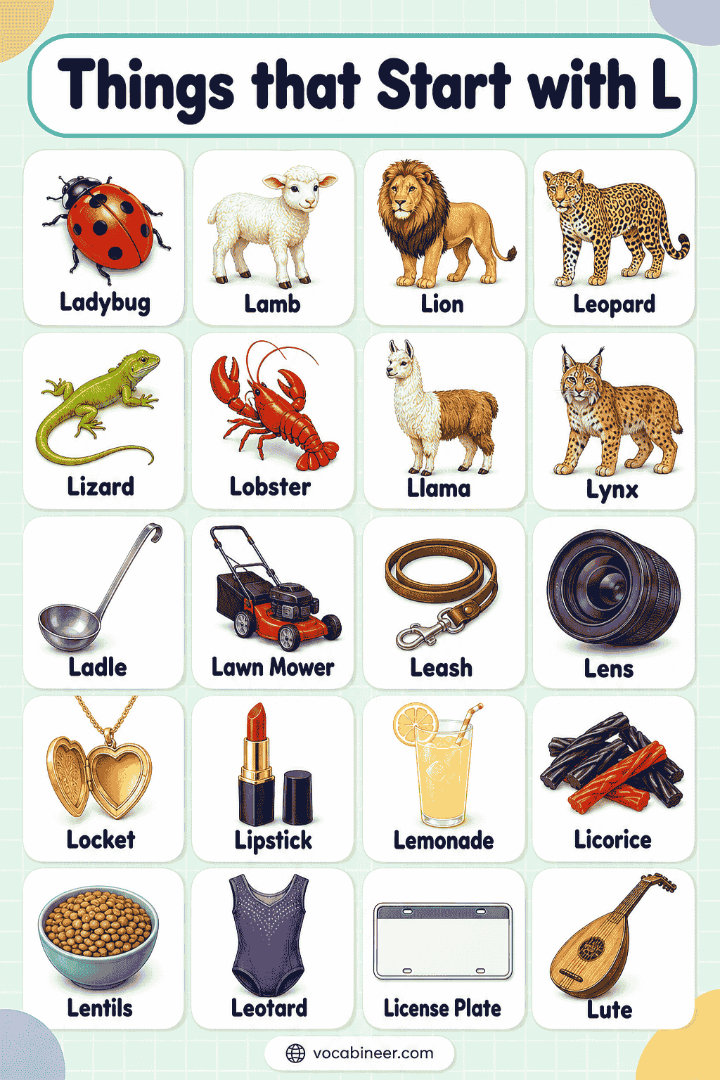 Things That Start with L: A Kid-Friendly Word List