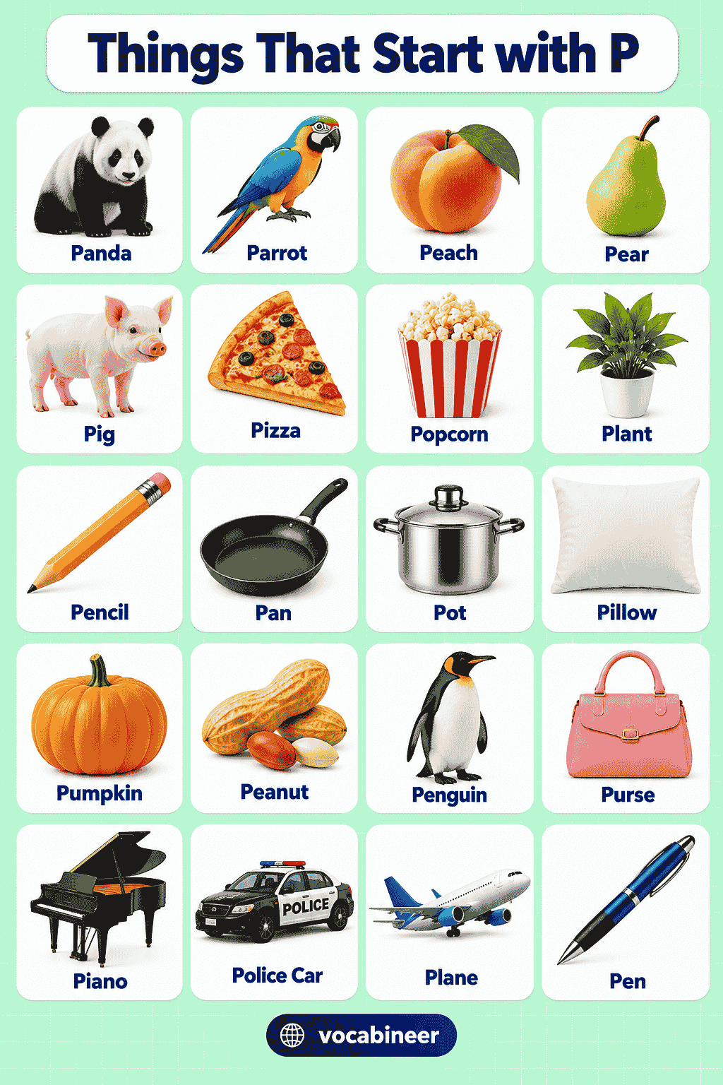 Things That Start with P: 144 P Things in English with Pictures