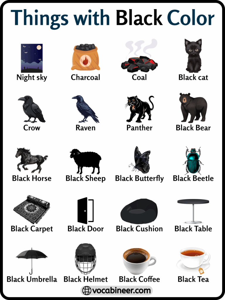 200+ Things with Black Color in English with Pictures