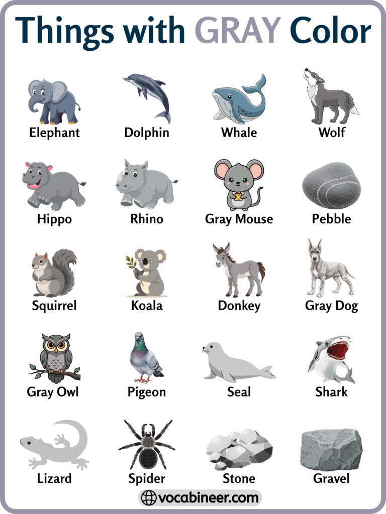 Things That Are Gray in Color | 222 English Words List in English