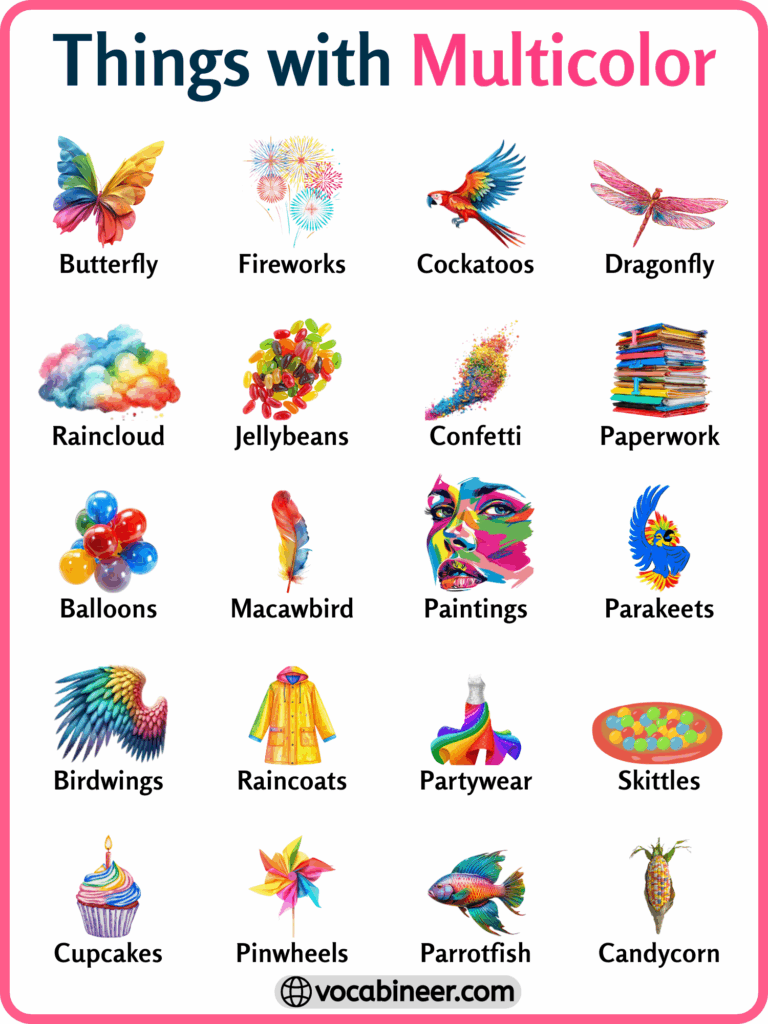 160 Things with Multicolor in English with Pictures