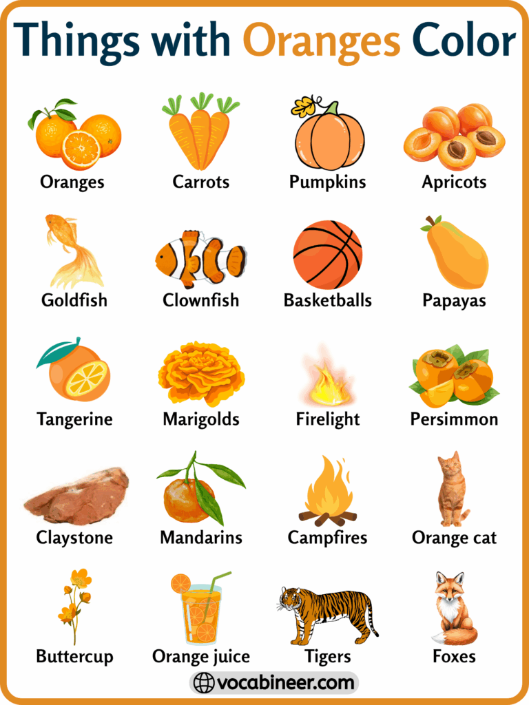 140 Things with Orange Color in English