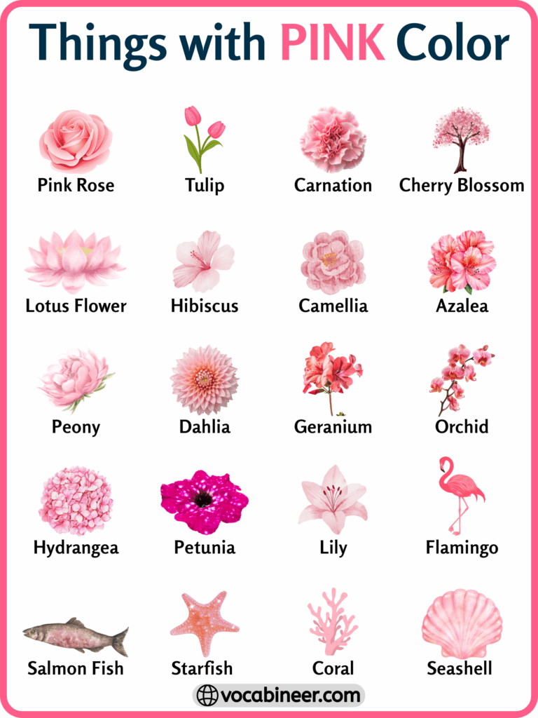 202 Things with Pink Color in English with their Pictures