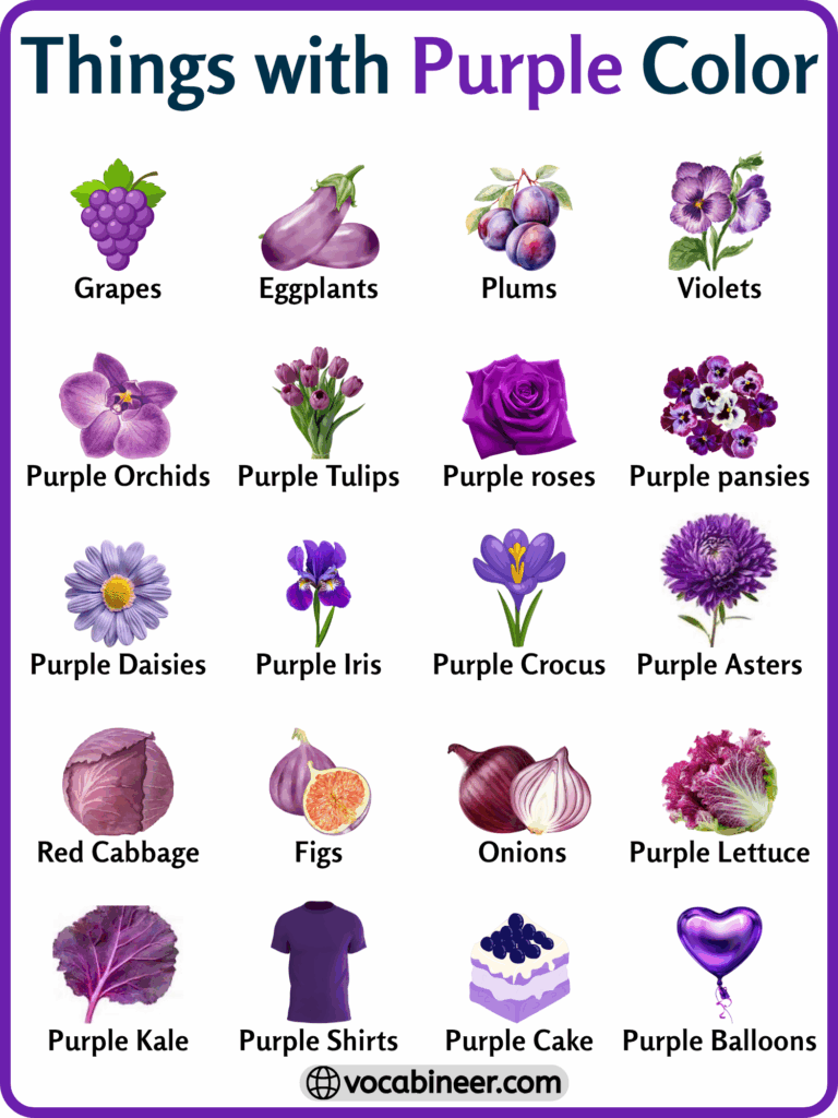 Things with Purple Color | Learn 120 Words List in English