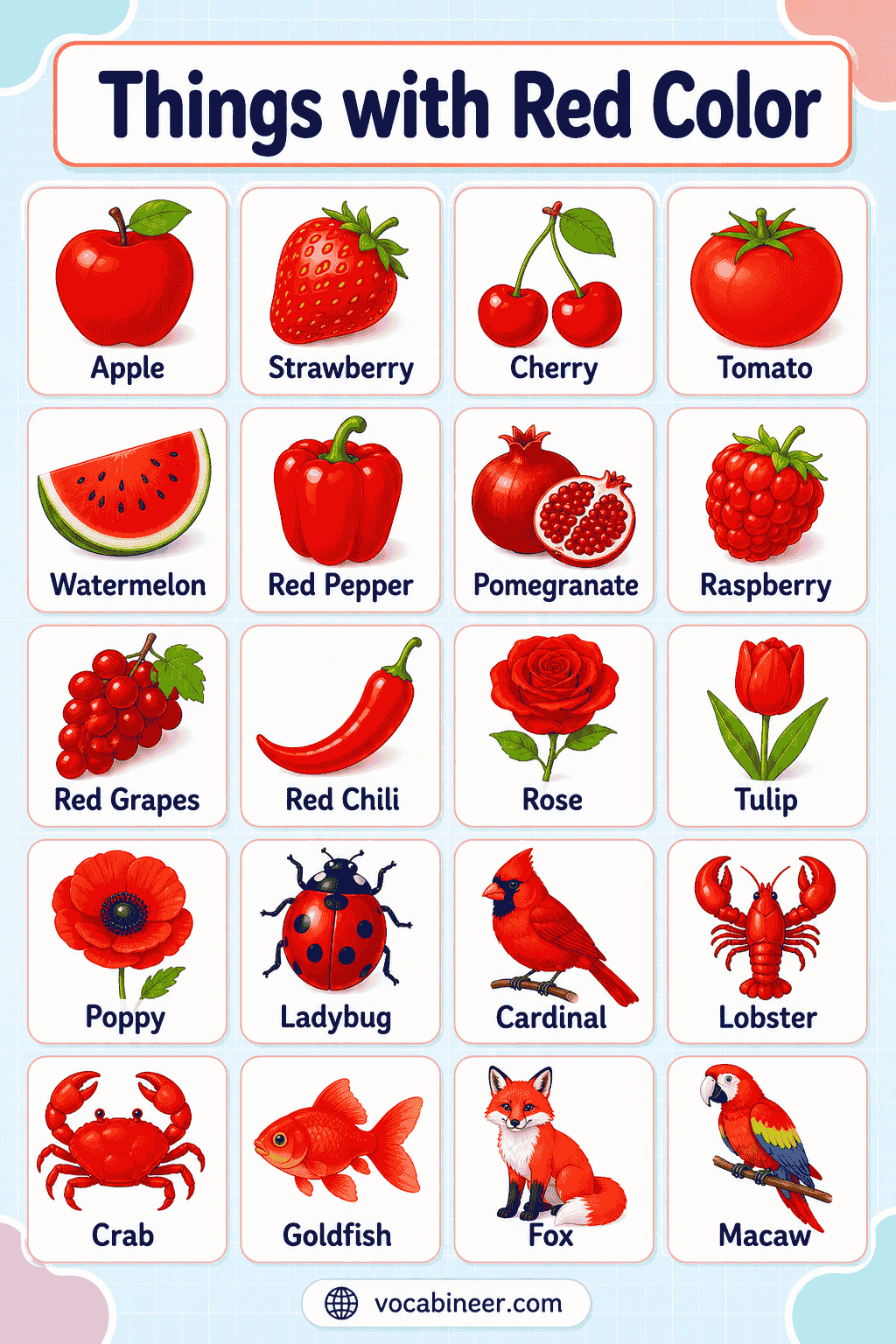 Things with Red Color: Names, Pictures, and Examples