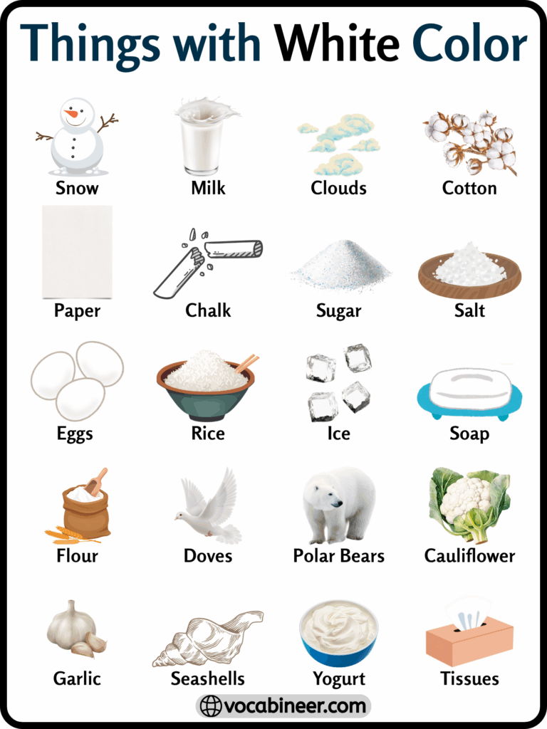 Things with White Color – 111 List of Words in English