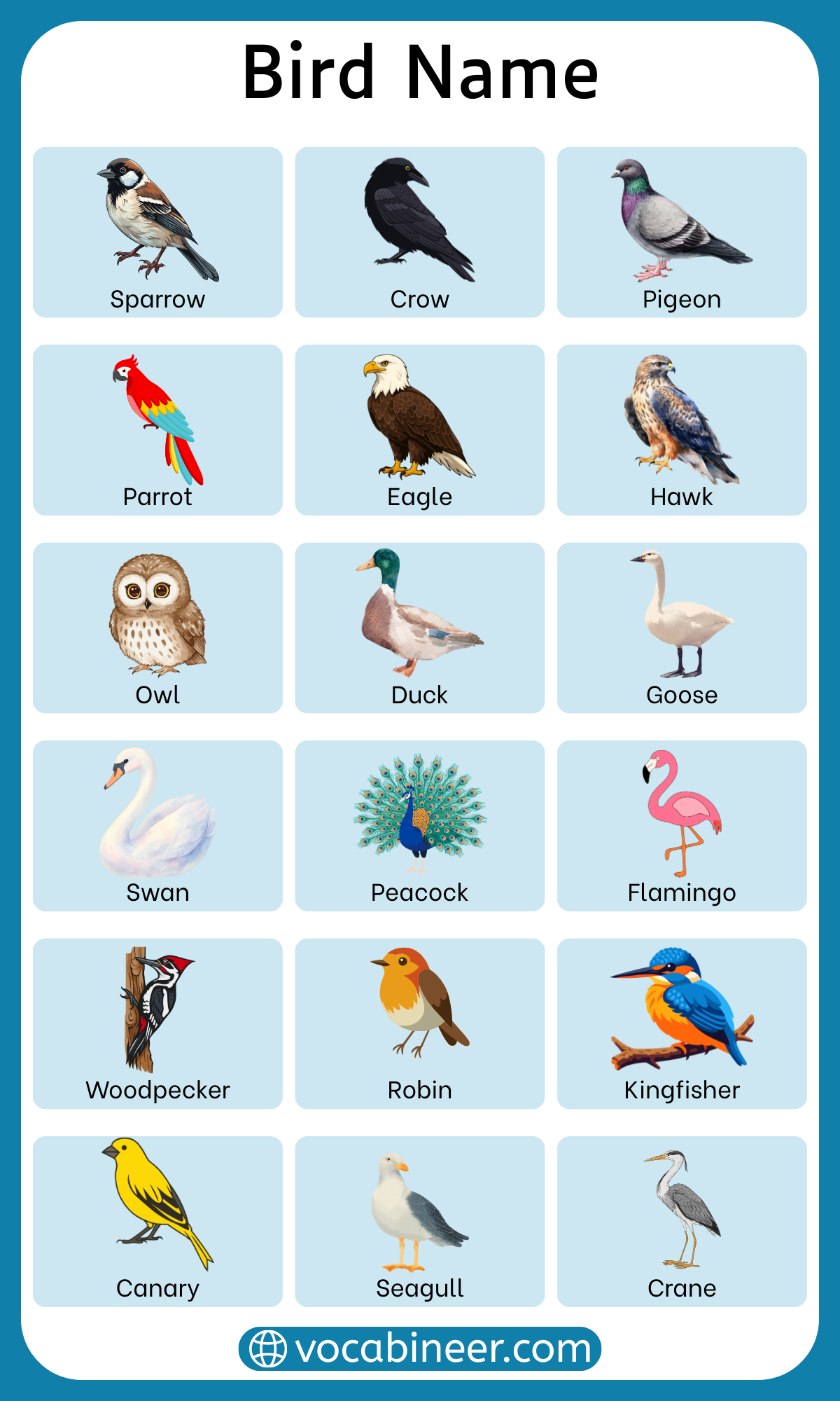 Complete list of different bird types in English with pictures including wild birds, water birds, farm birds, colorful birds, birds of prey, and flightless birds