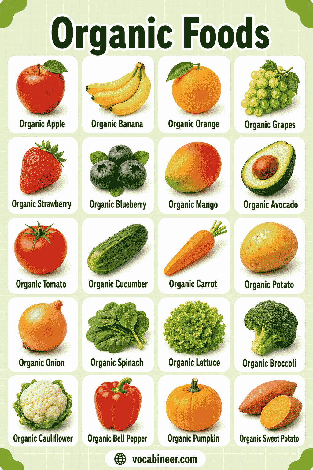 List of Organic Foods Names for Daily Use