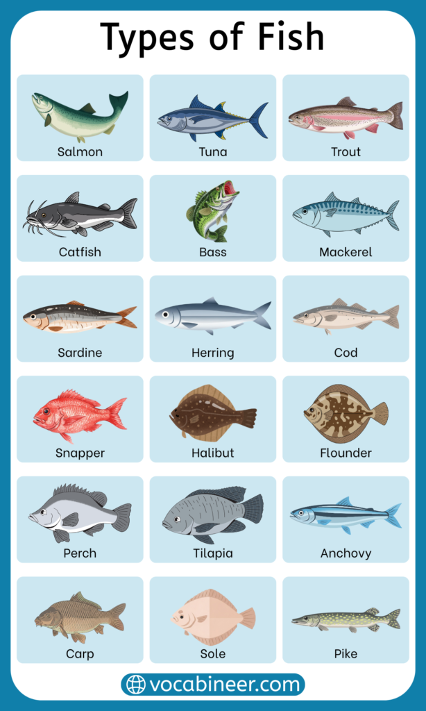 100+ Different Types of Fish Names A–Z with their Pictures