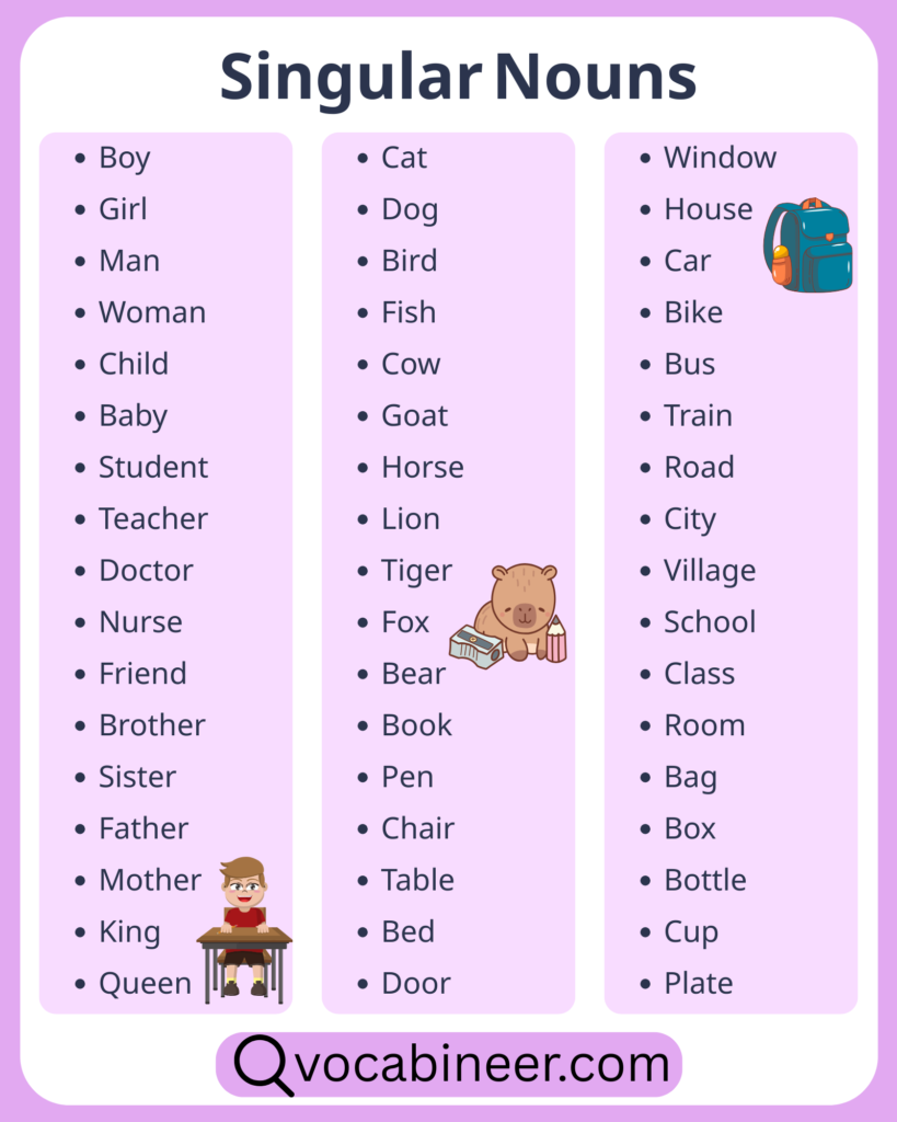 200 Common Singular Nouns List in English with Examples