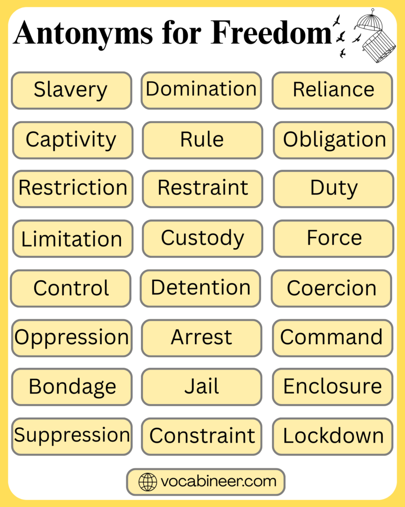 28 Antonyms for Freedom with Meanings and Pictures
