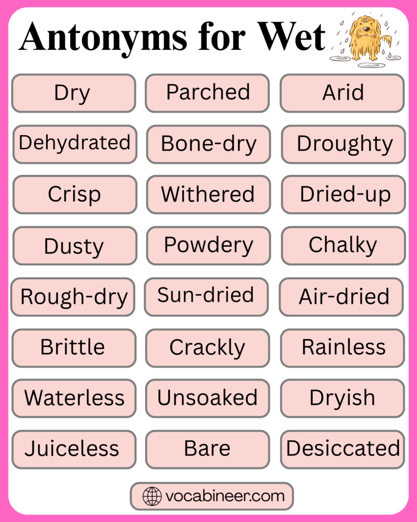 32 Antonyms for Wet with Meanings in English