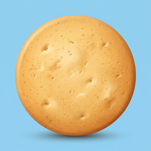 Biscuit